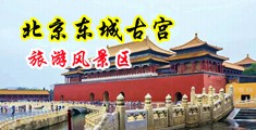 狂插大逼日本女人中国北京-东城古宫旅游风景区